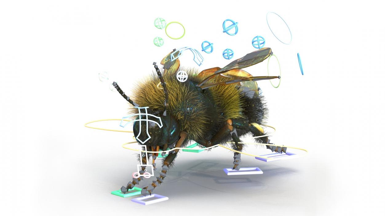 Realistic Bumblebee Insect Fur Rigged 3D