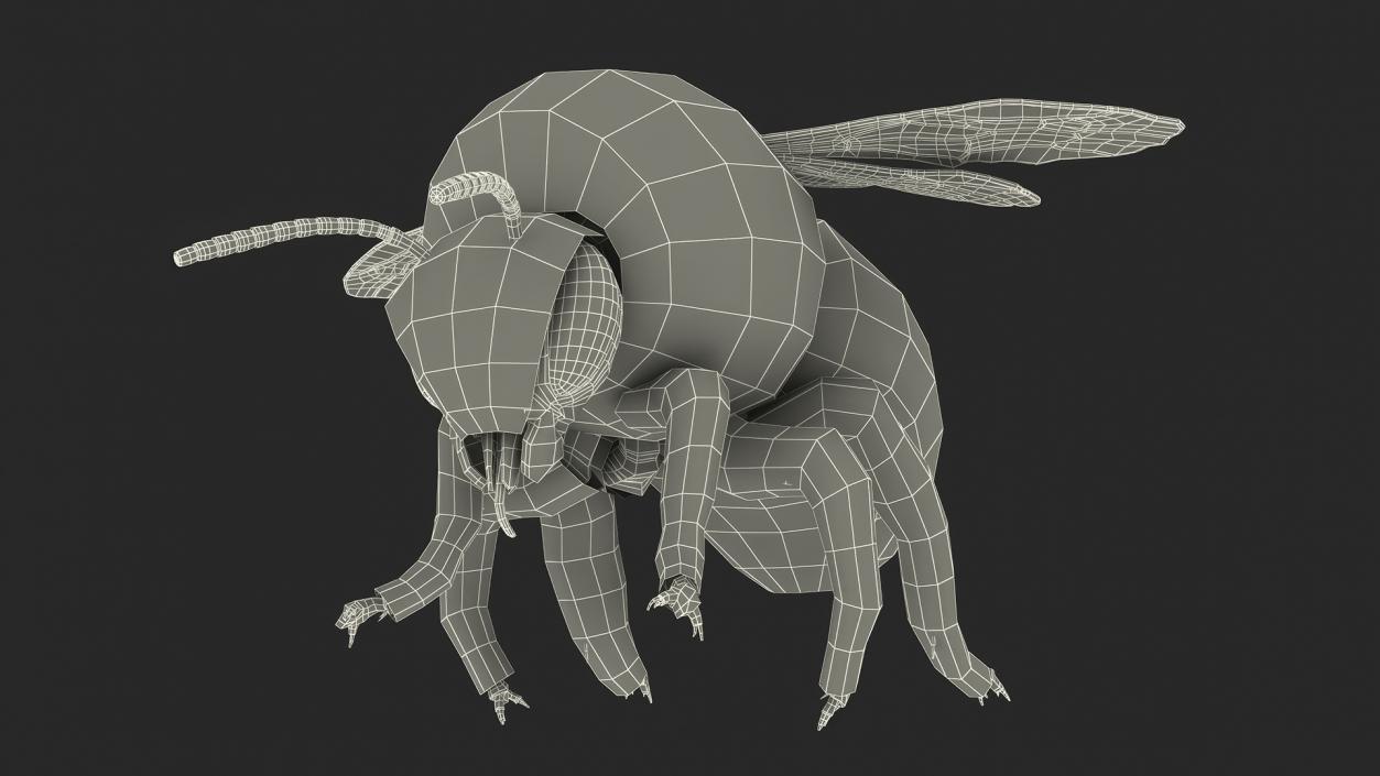 Realistic Bumblebee Insect Fur Rigged 3D