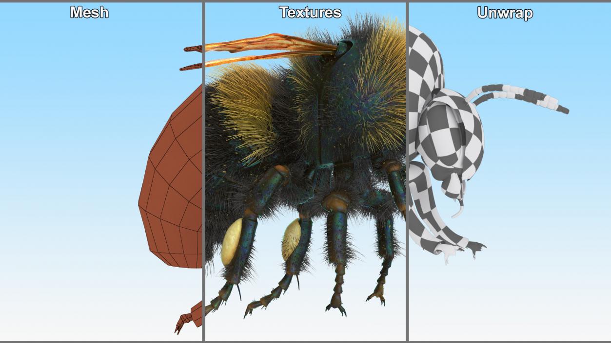 Realistic Bumblebee Insect Fur Rigged 3D