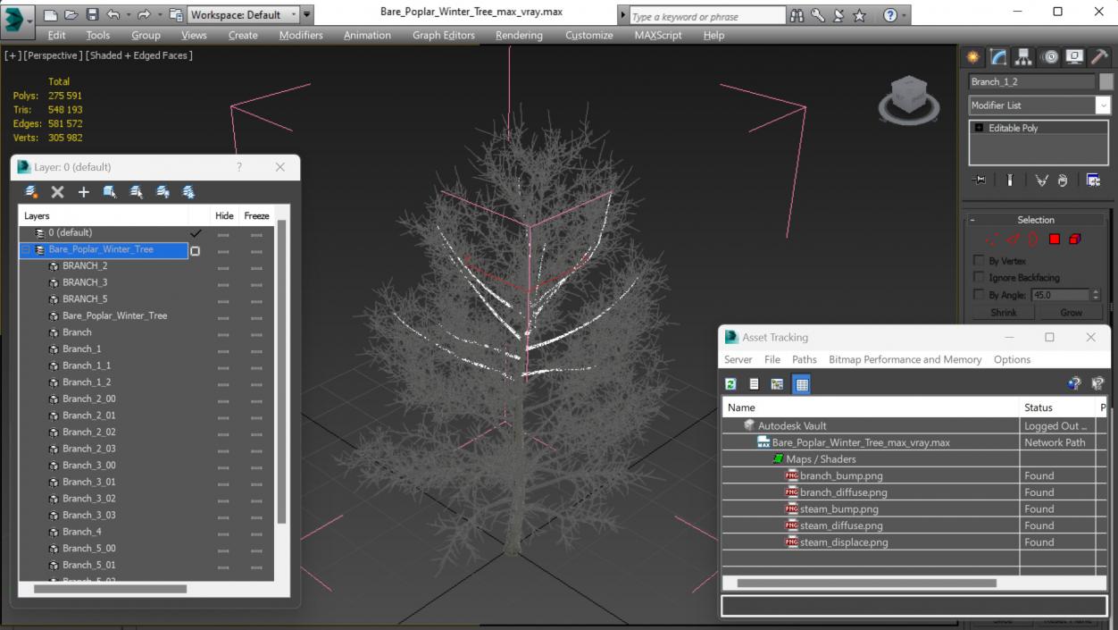 3D model Bare Poplar Winter Tree 2