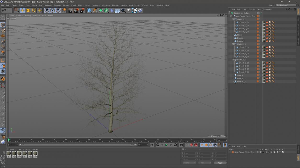 3D model Bare Poplar Winter Tree 2