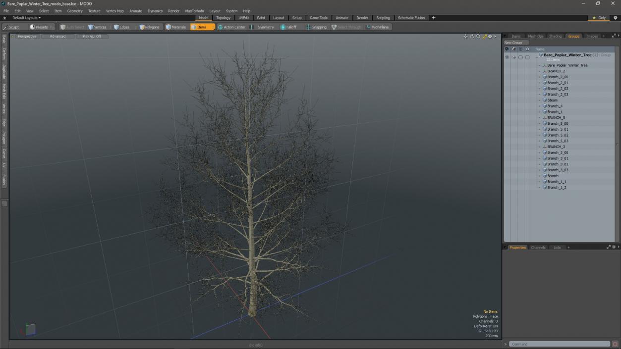 3D model Bare Poplar Winter Tree 2