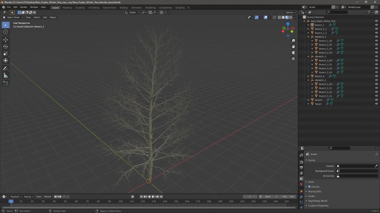 3D model Bare Poplar Winter Tree 2