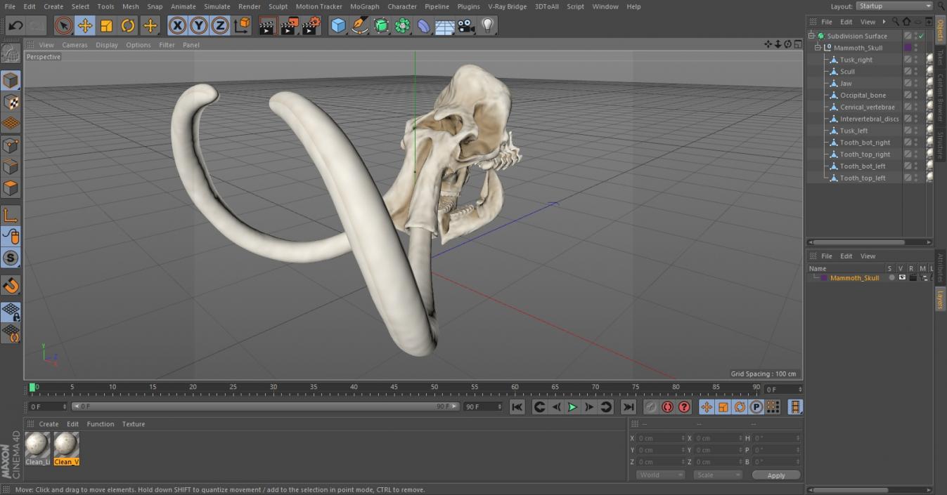 3D Mammoth Skull model