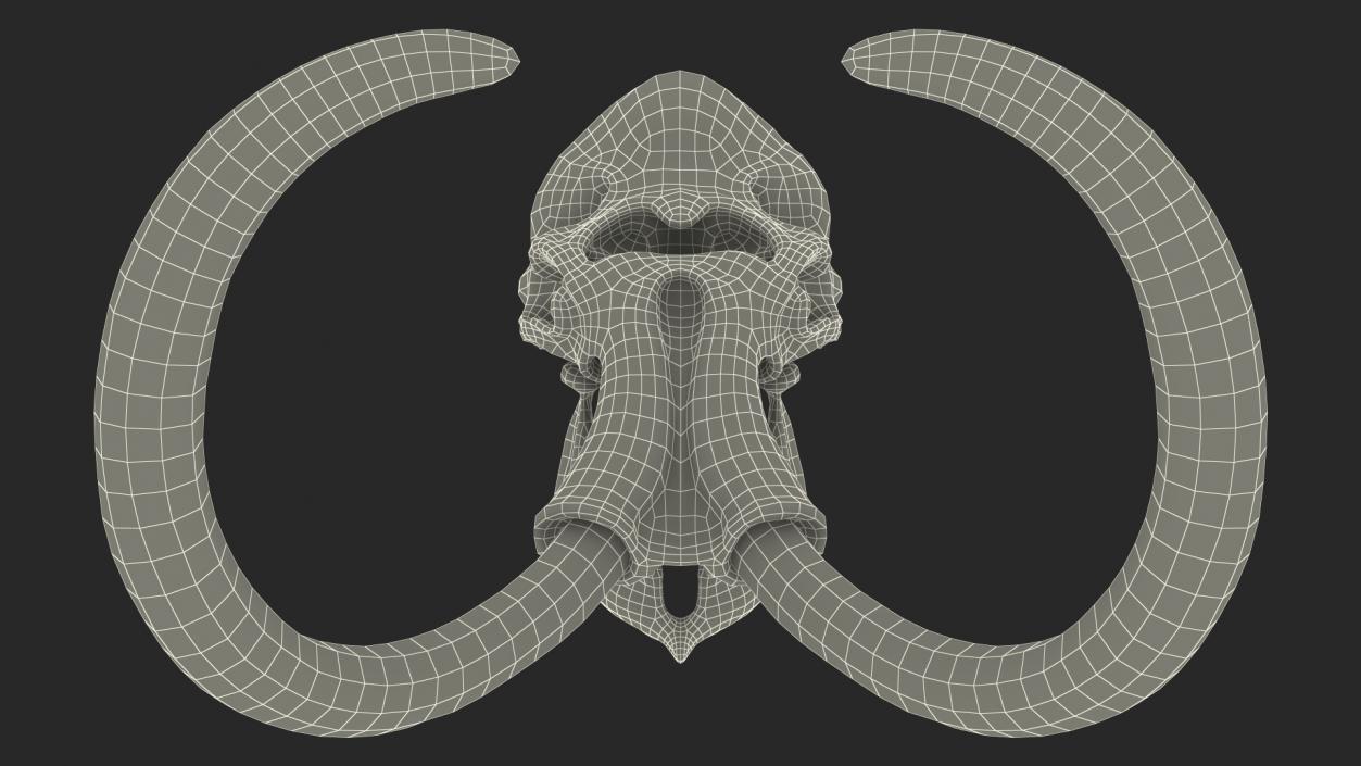 3D Mammoth Skull model