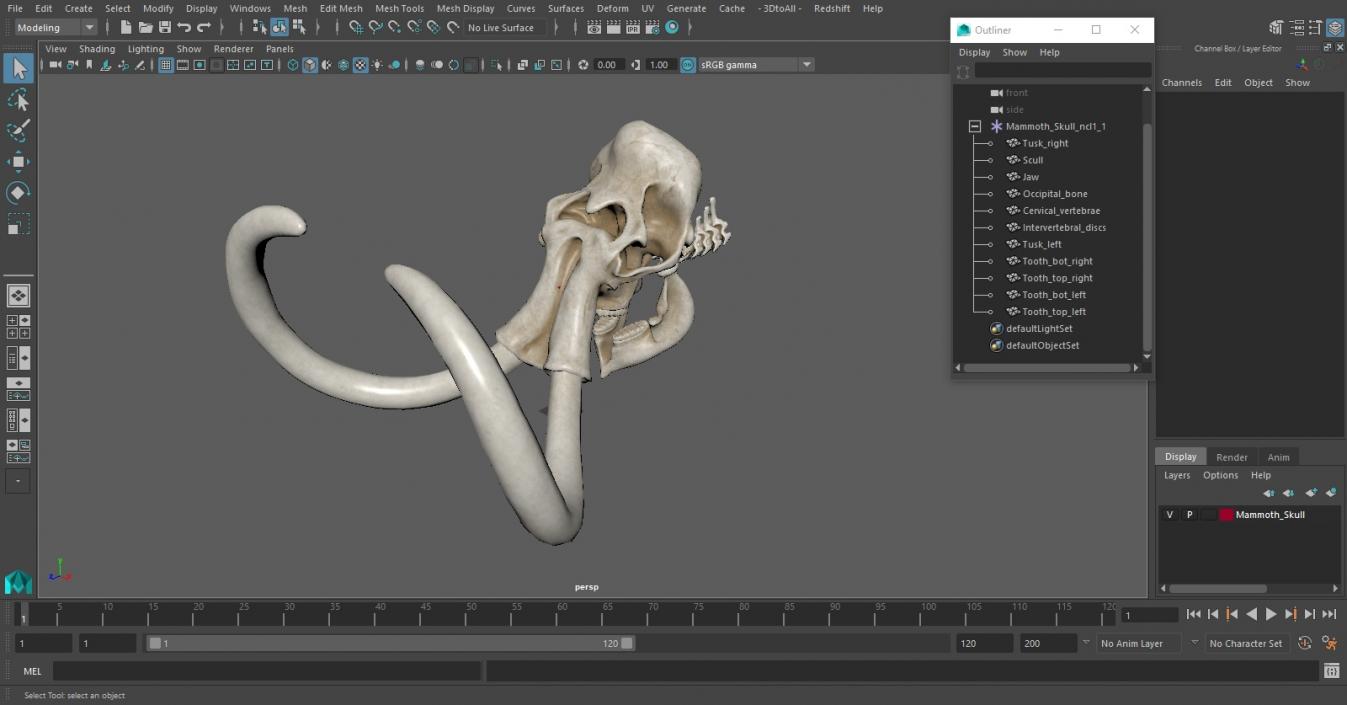 3D Mammoth Skull model