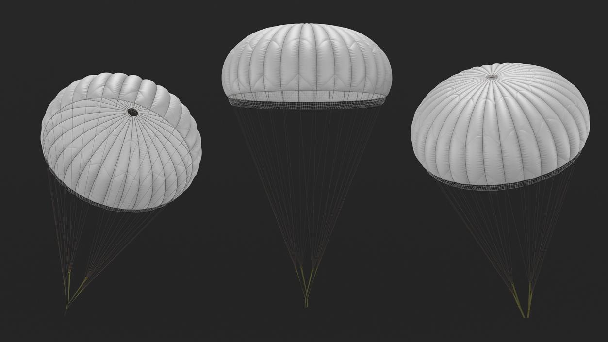 Dome Gray Parachute 3D model