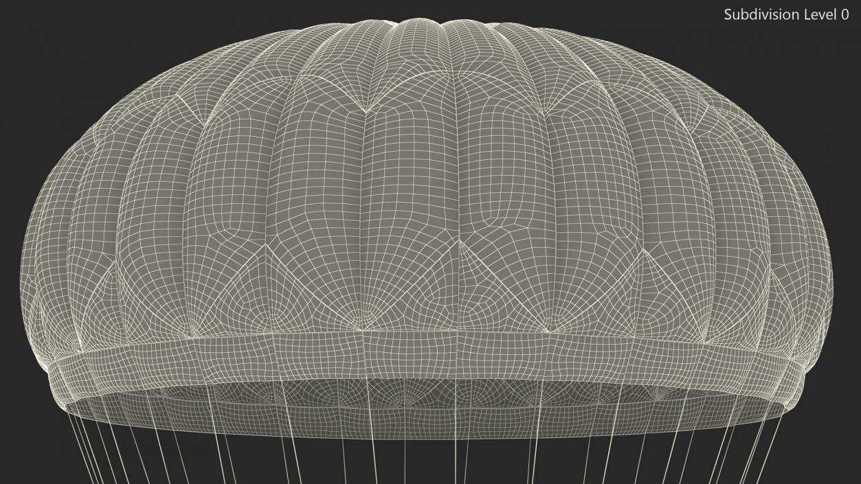 Dome Gray Parachute 3D model