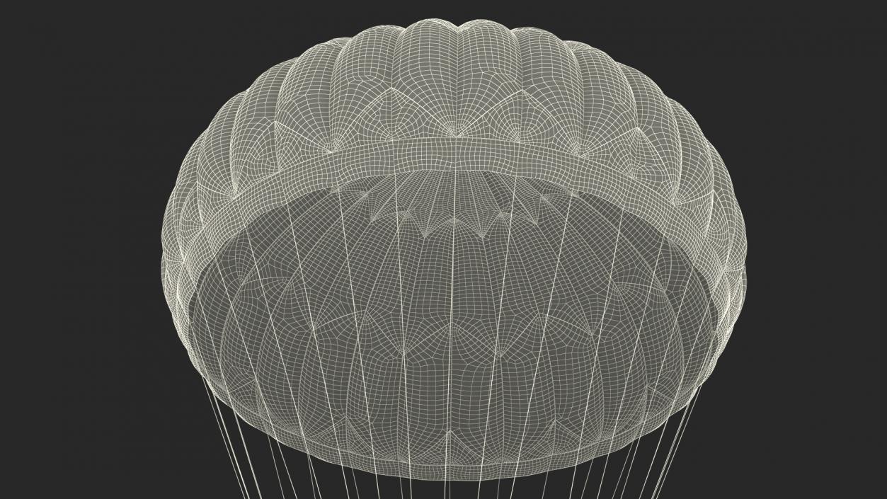 Dome Gray Parachute 3D model