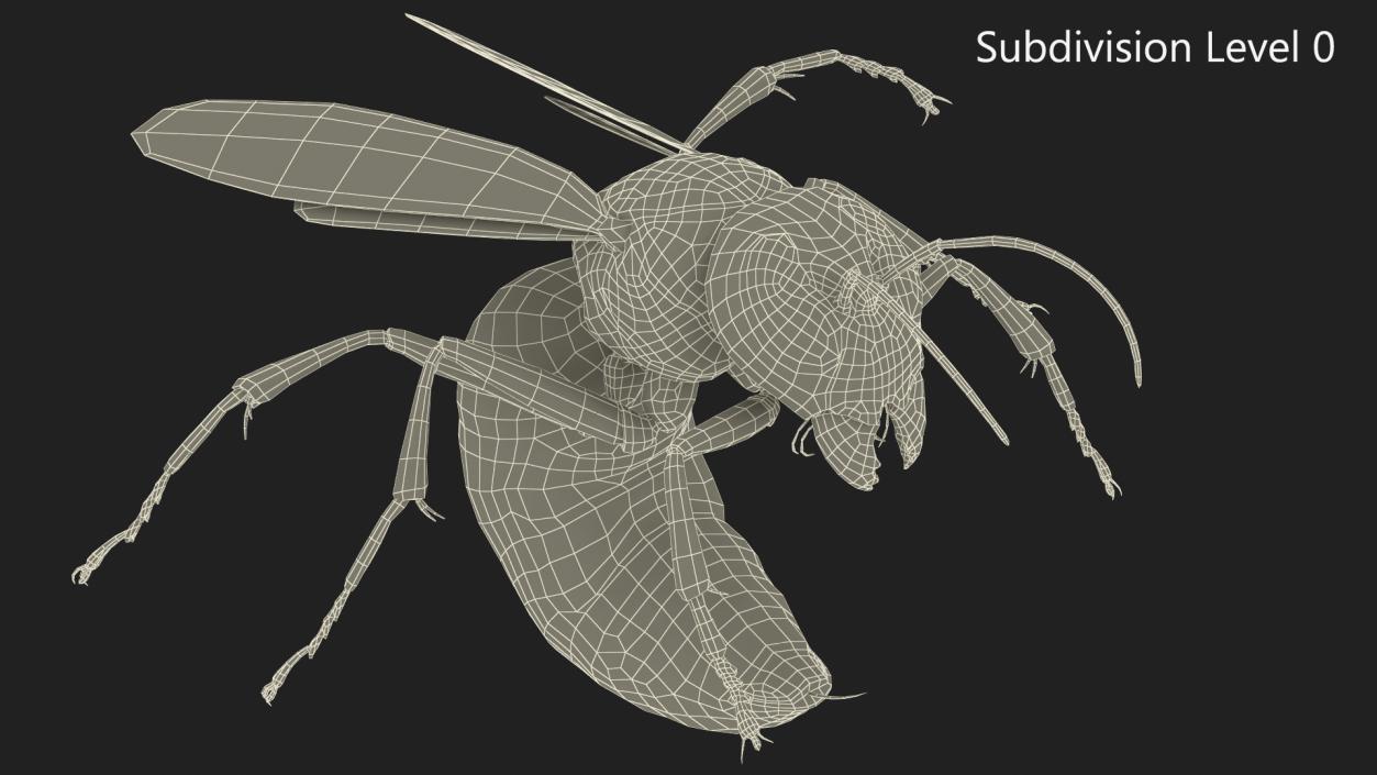 3D Northern Giant Hornet Attack Pose model