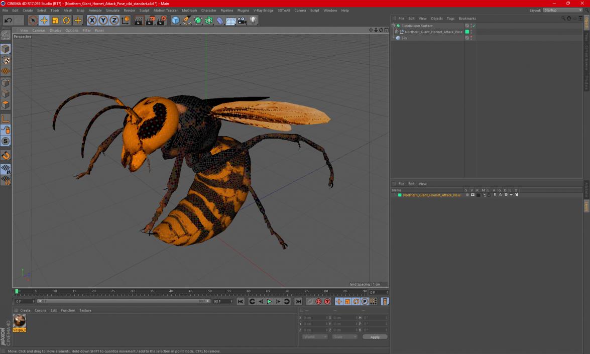 3D Northern Giant Hornet Attack Pose model