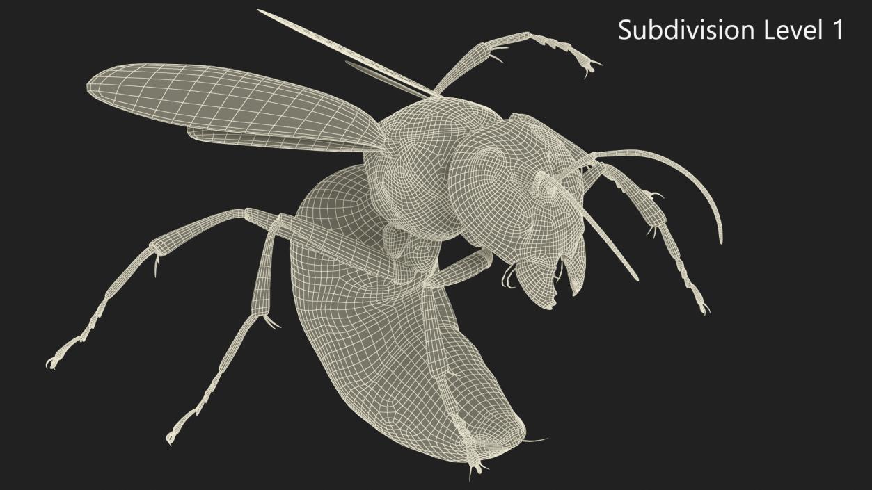 3D Northern Giant Hornet Attack Pose model