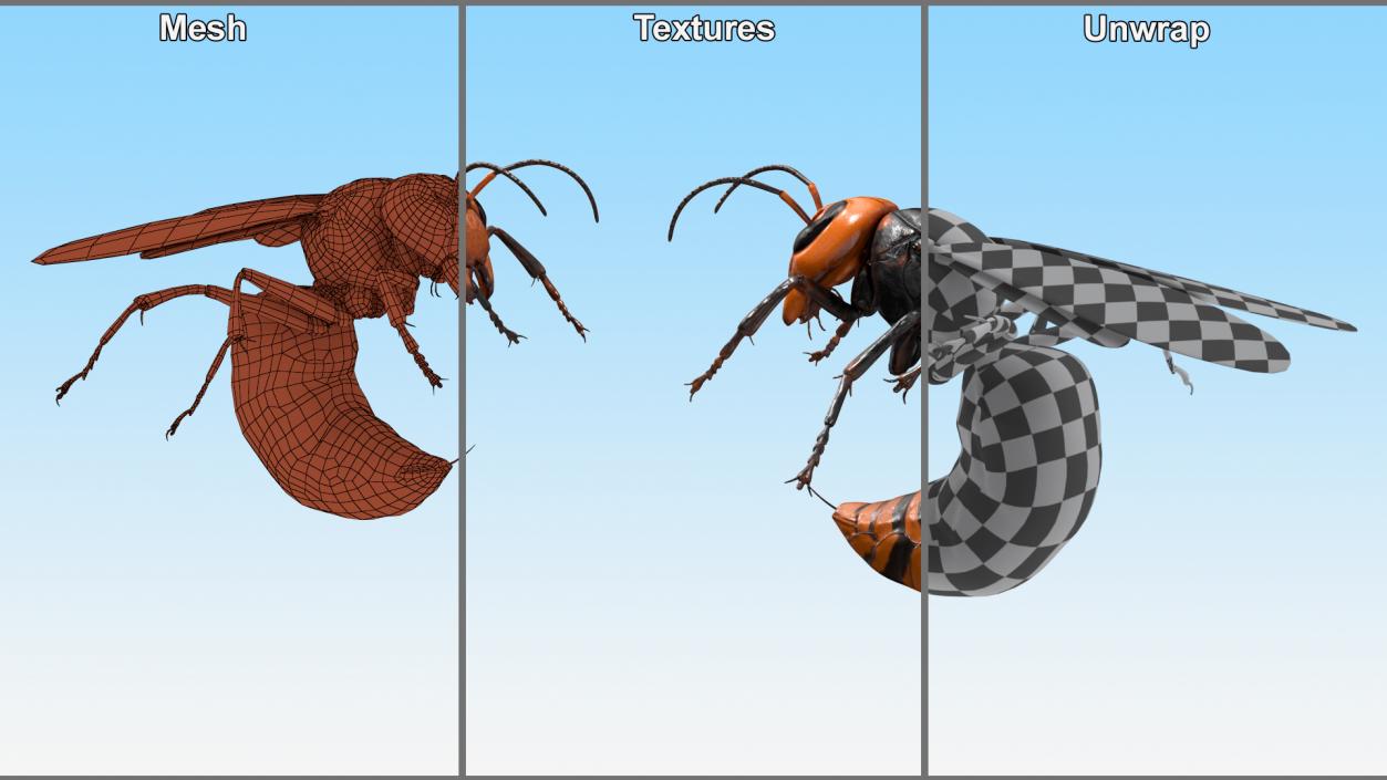 3D Northern Giant Hornet Attack Pose model