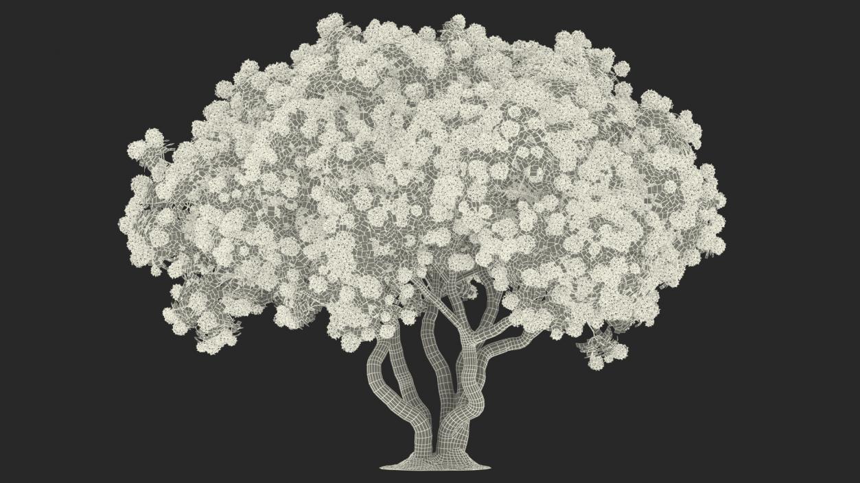 Pink Rhododendron Tree 3D