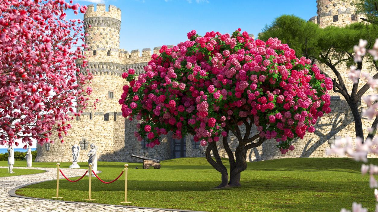 Pink Rhododendron Tree 3D