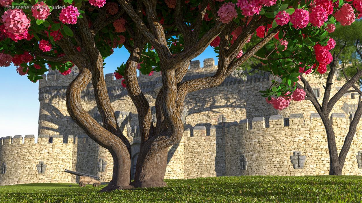 Pink Rhododendron Tree 3D