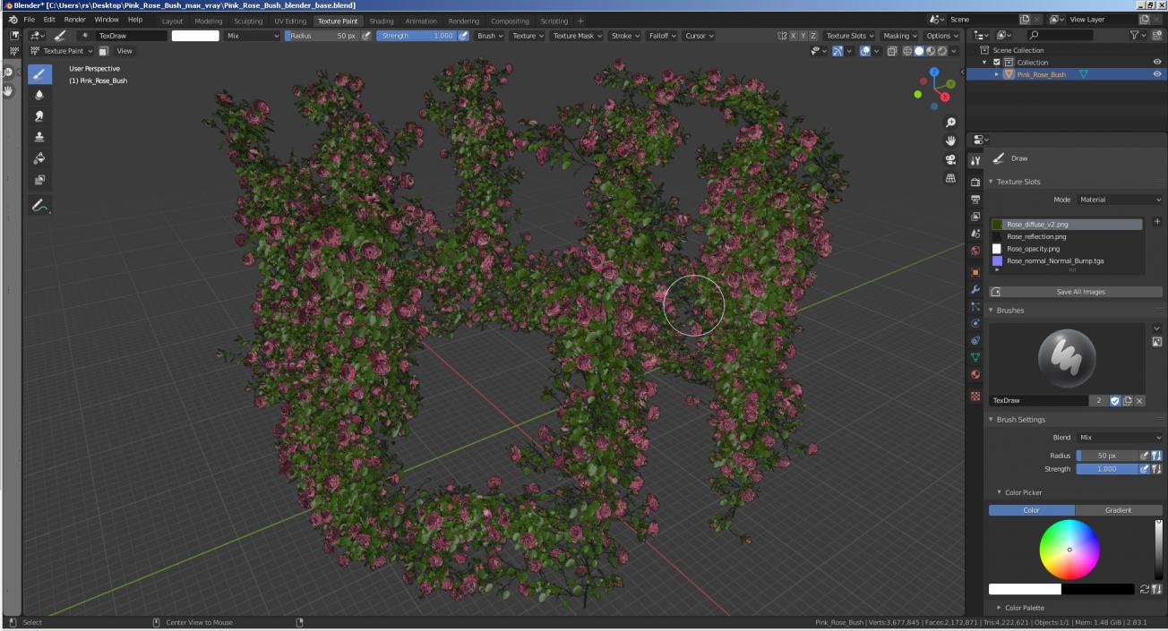 Pink Rose Bush 3D model