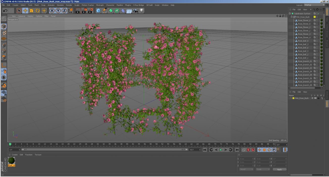 Pink Rose Bush 3D model