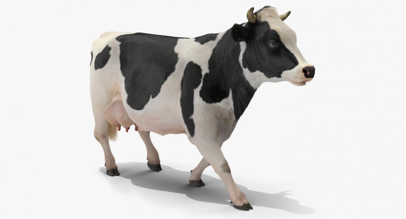 Animated Cow Walking Rigged 3D