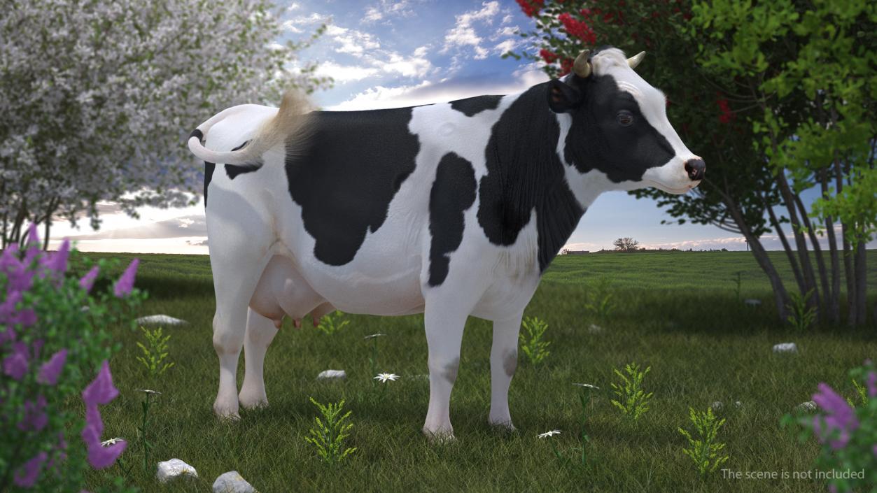 Animated Cow Walking Rigged 3D