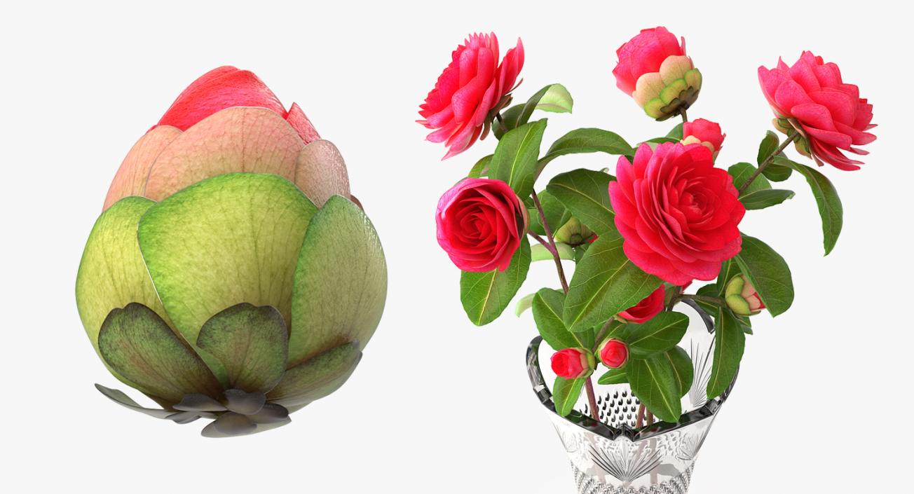 Flower Bouquet in Vase 3D