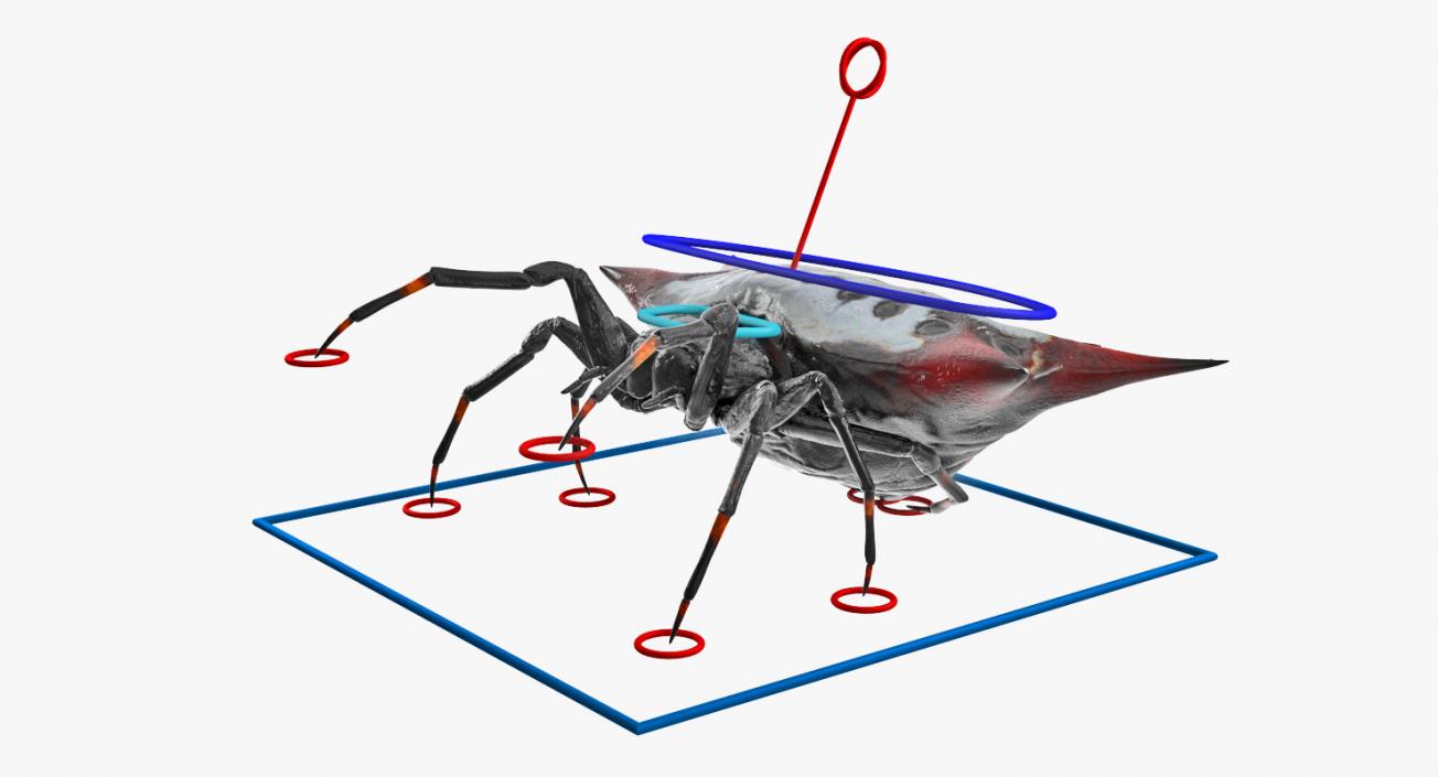 3D model Spiny Orb Weaver Spider Rigged