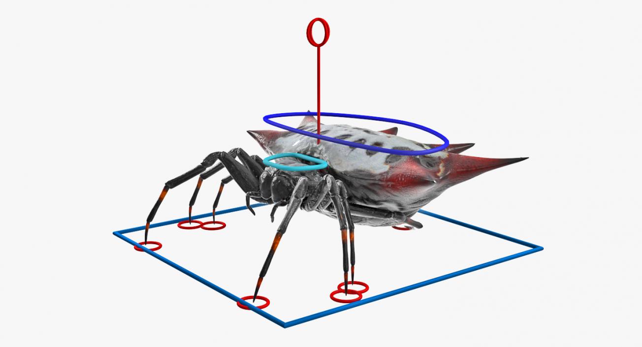 3D model Spiny Orb Weaver Spider Rigged