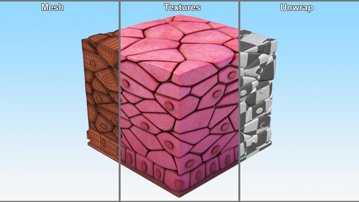 3D Skin Cells Collection 4 model