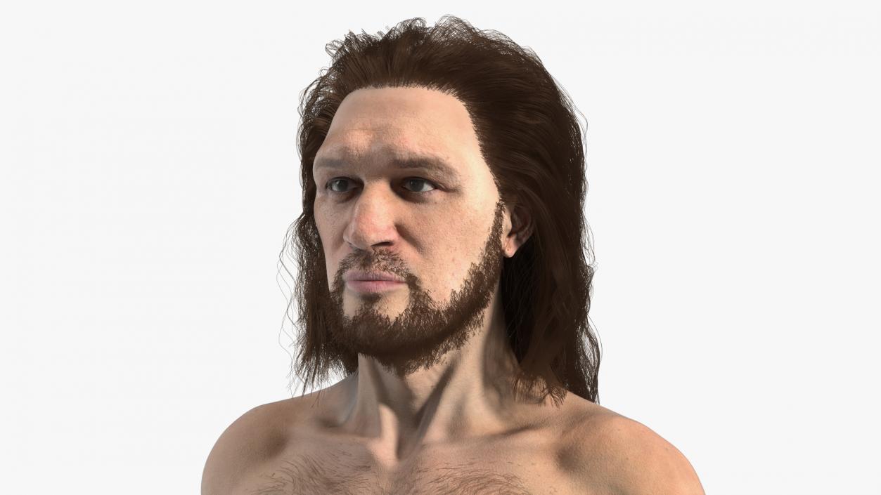 Cromagnon Man Rigged Fur 3D model