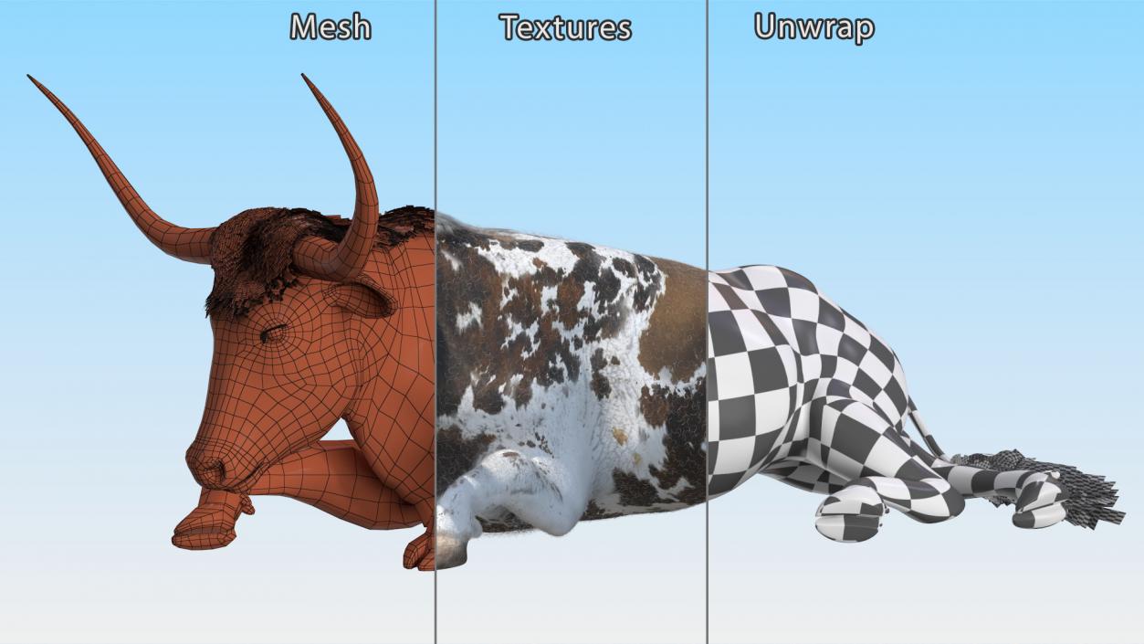 Lying Longhorn Bull Mottled Brown Fur 3D