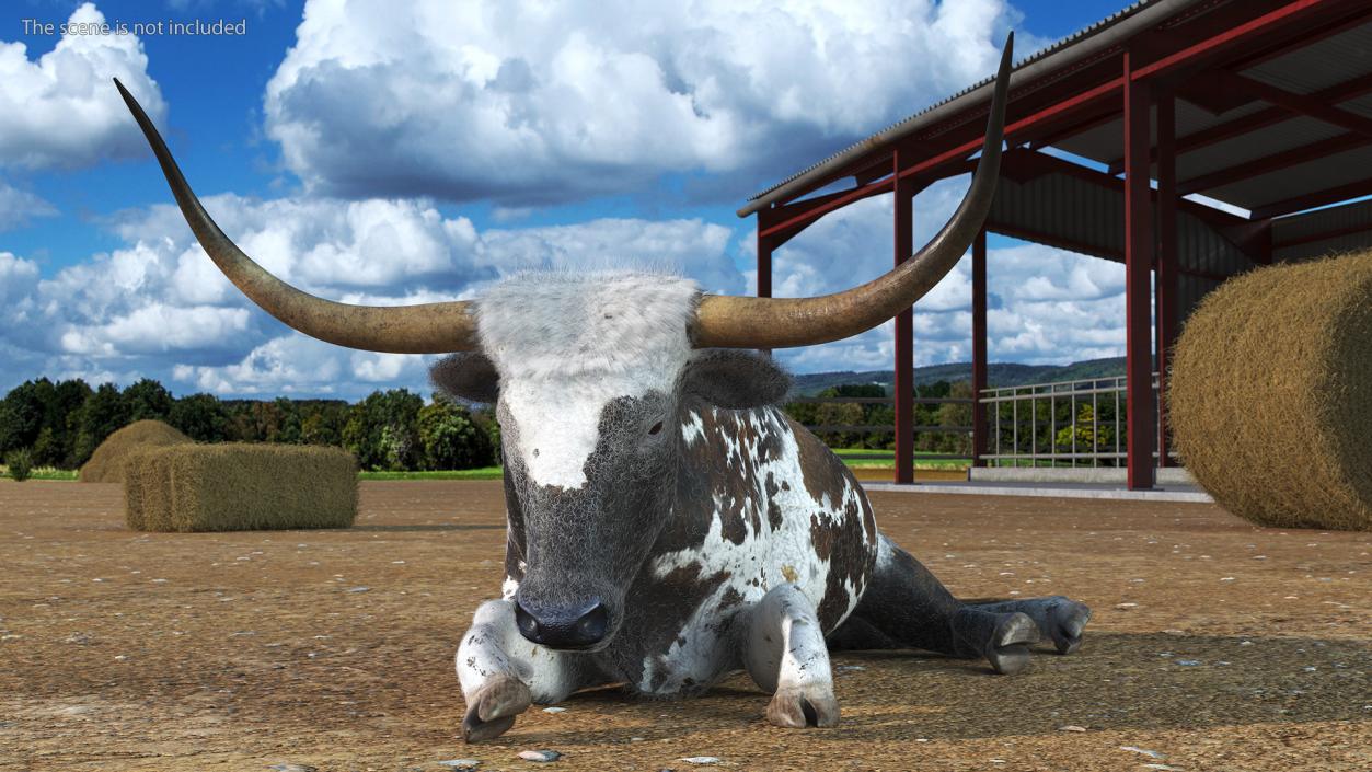 Lying Longhorn Bull Mottled Brown Fur 3D