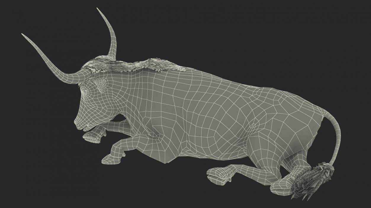 Lying Longhorn Bull Mottled Brown Fur 3D