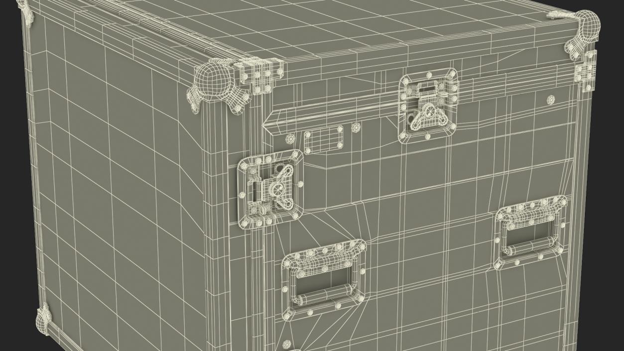 3D model Heavy Duty Rack Flight Case with Wheels 52x48x48cm