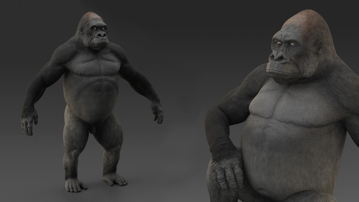 Western Gorilla Rigged 3D