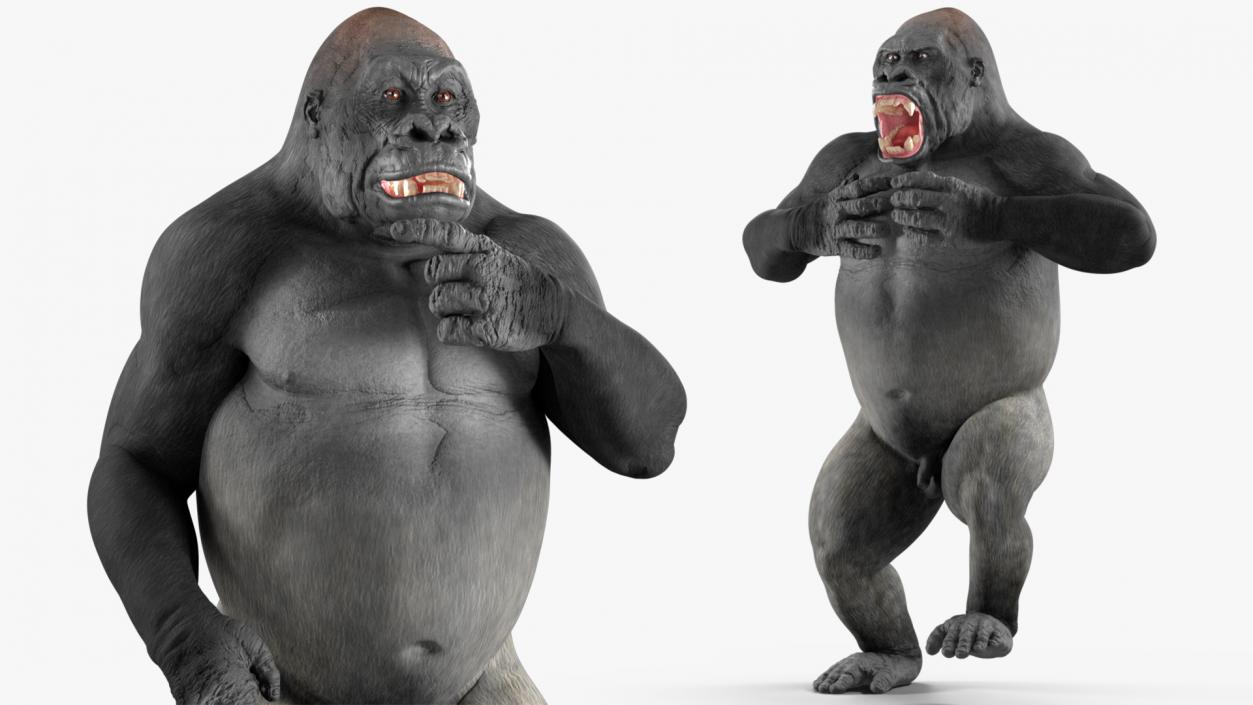 Western Gorilla Rigged 3D