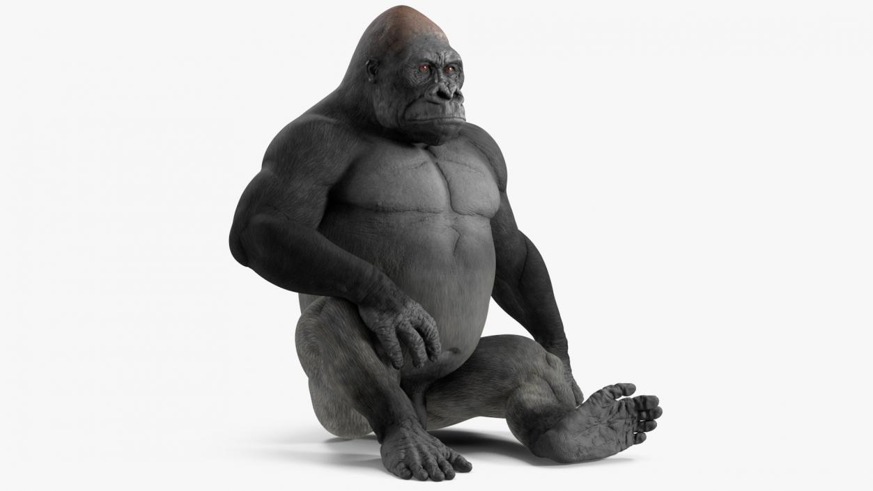 Western Gorilla Rigged 3D