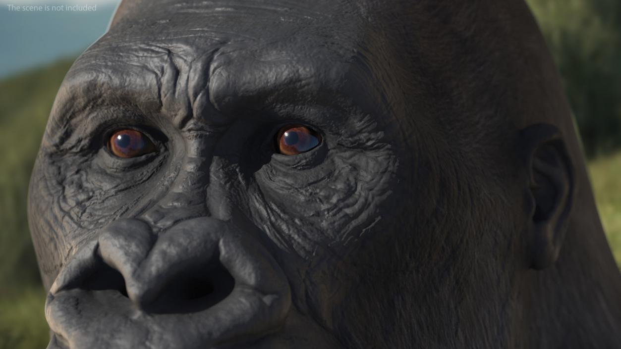 Western Gorilla Rigged 3D