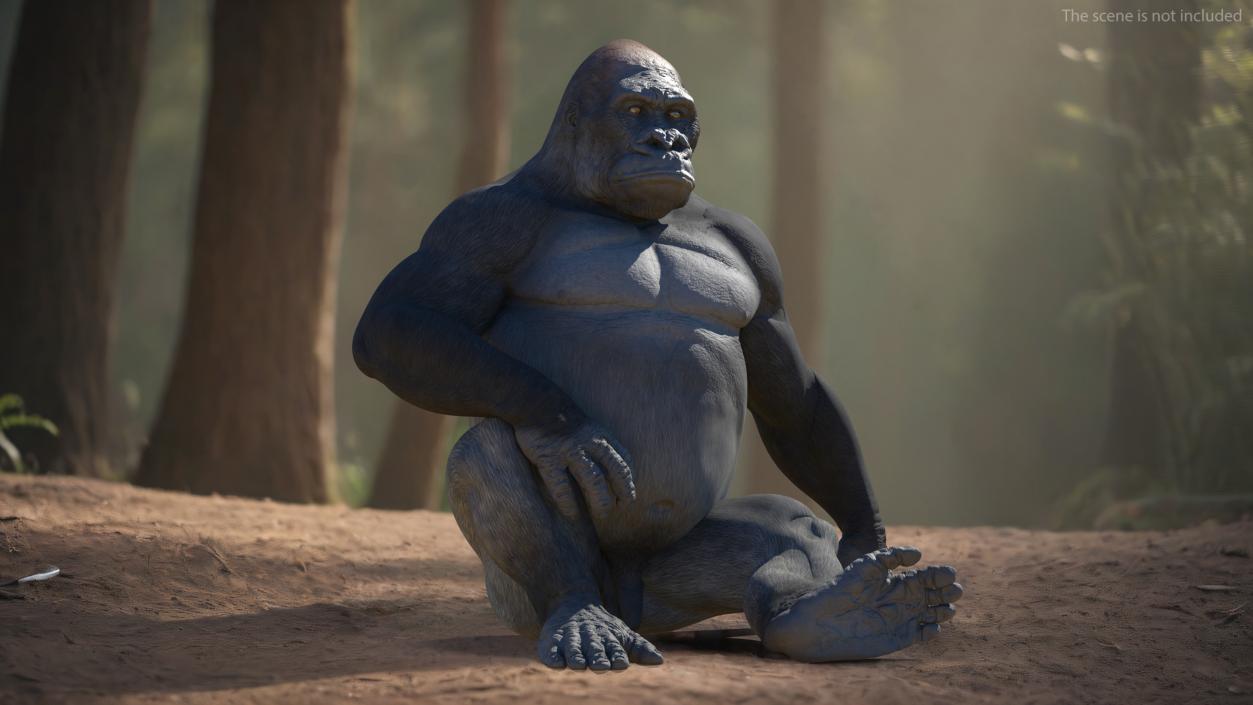 Western Gorilla Rigged 3D