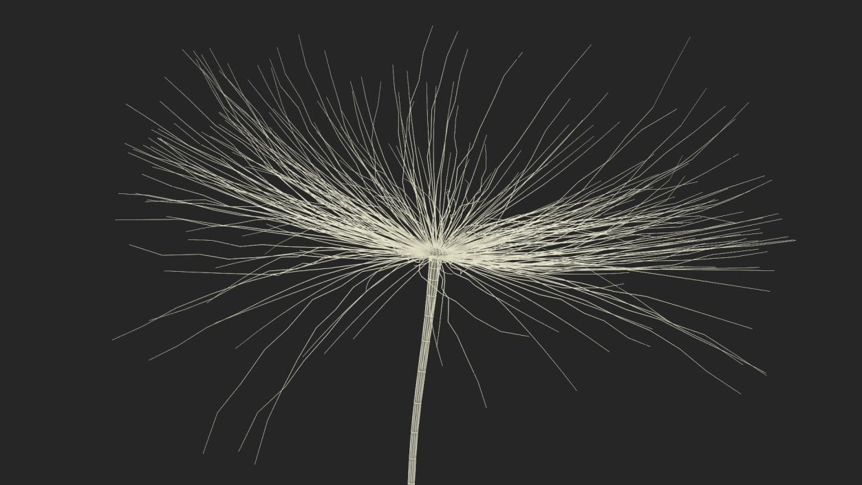 Dandelion Seed 3D model