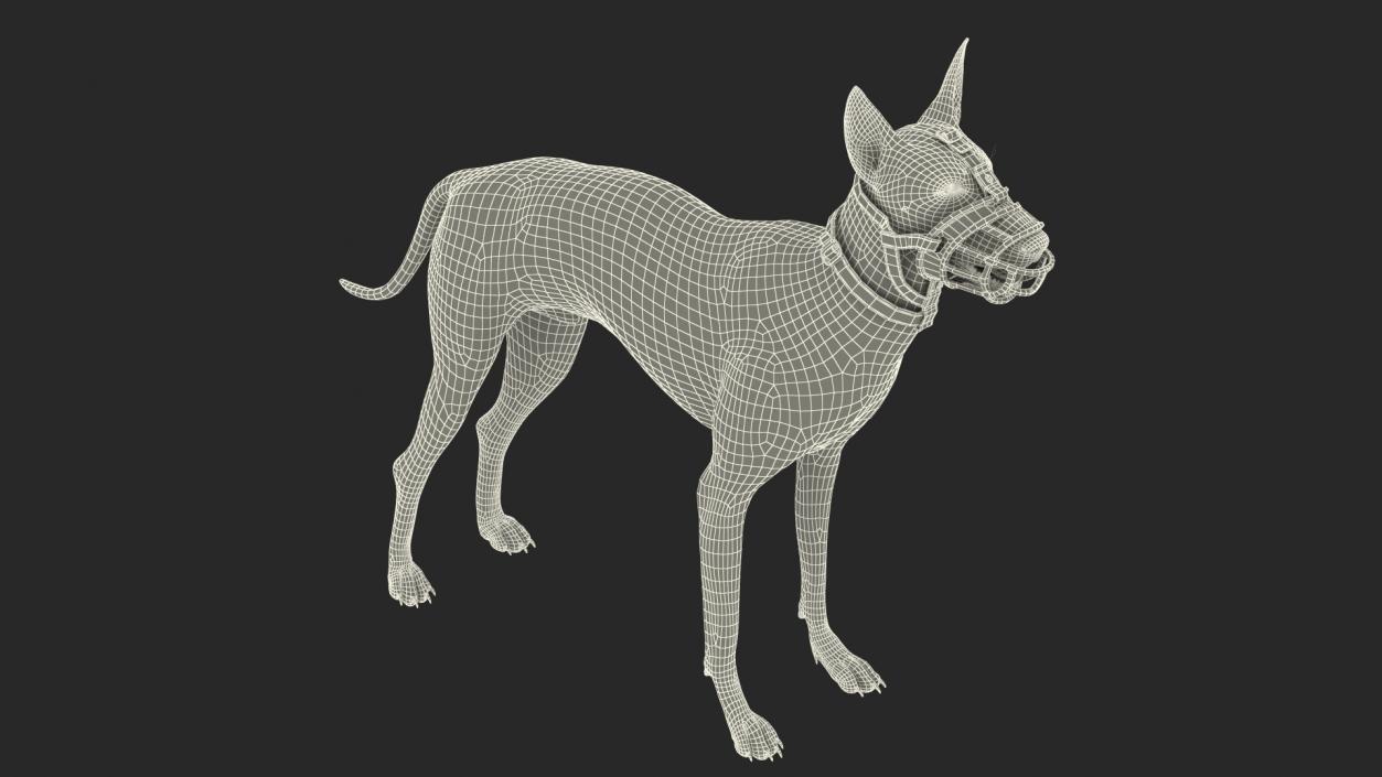 Xoloitzcuintli in a Baskerville Muzzle Fur 3D