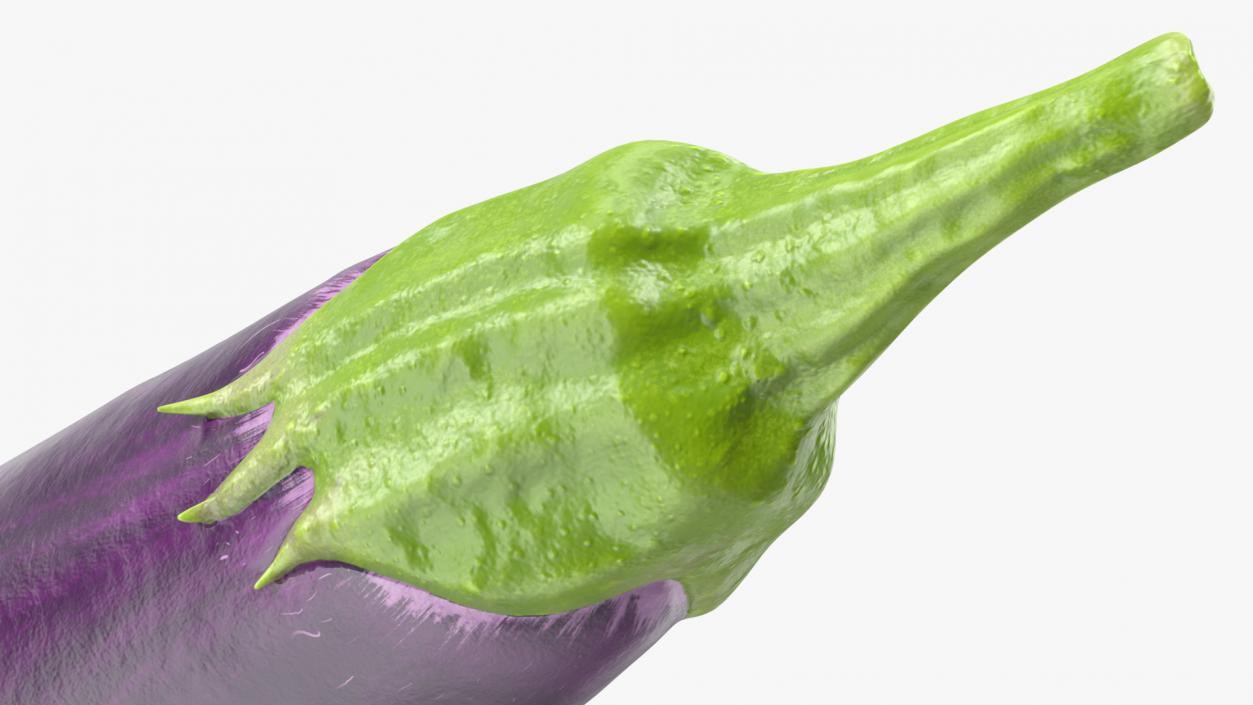 3D Solanum Melongena Eggplant