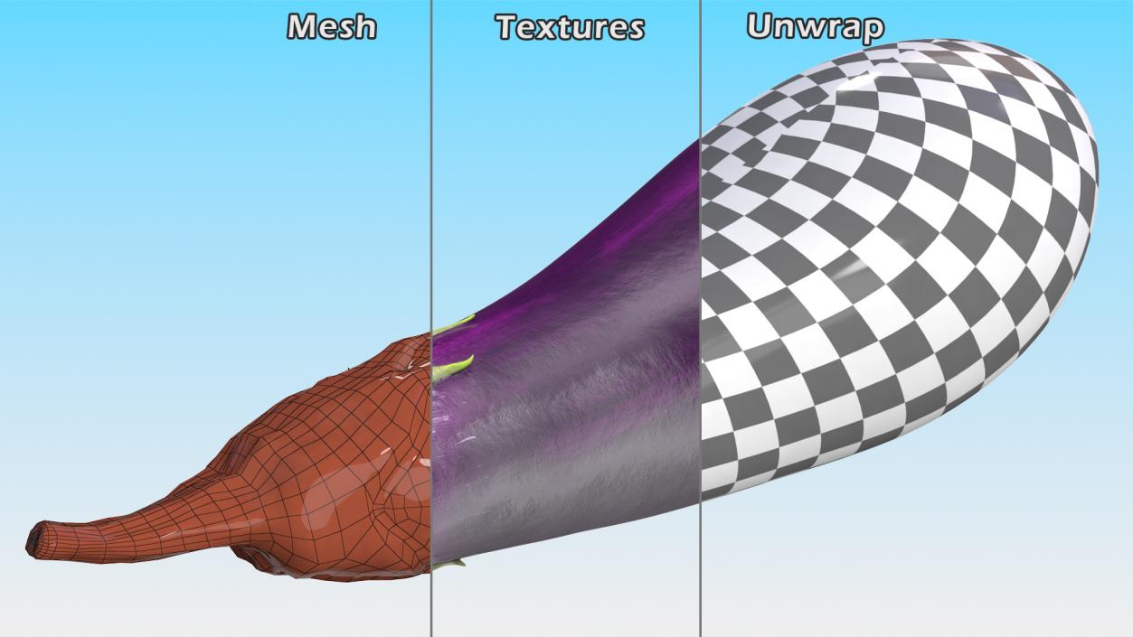 3D Solanum Melongena Eggplant