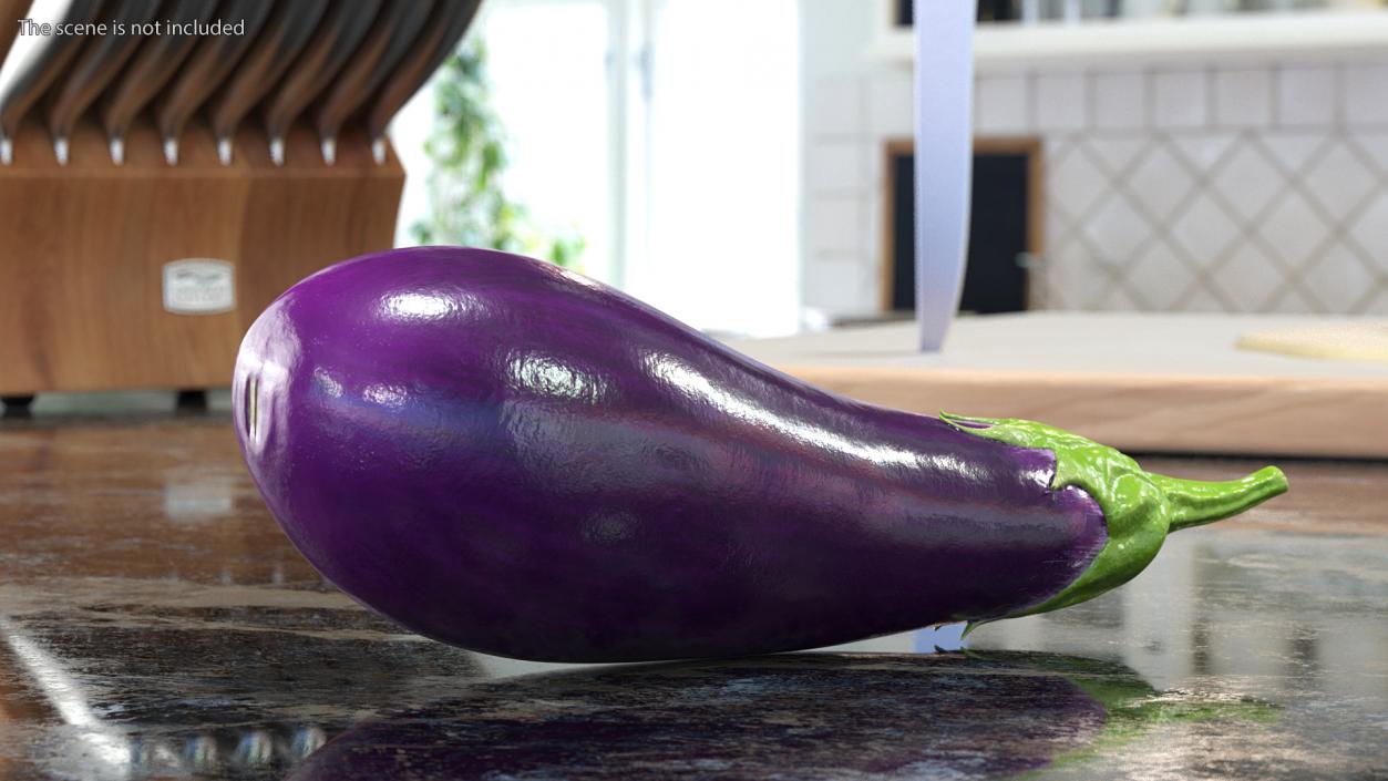 3D Solanum Melongena Eggplant