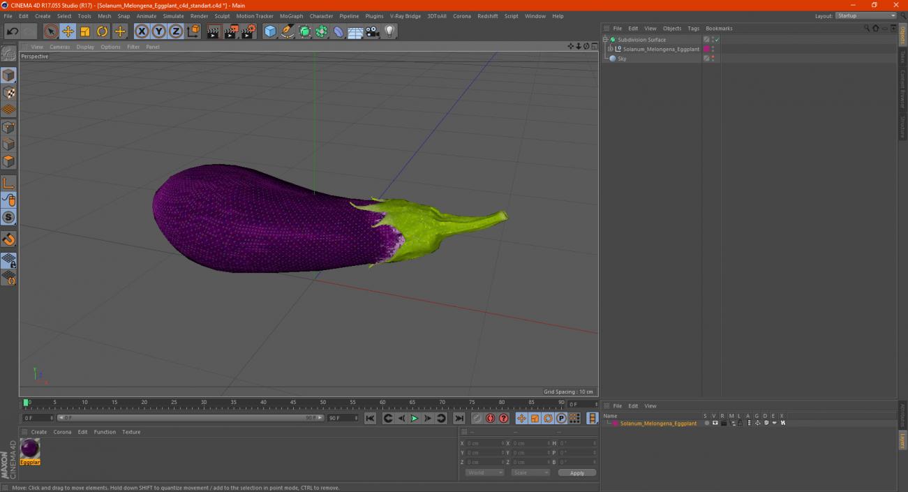 3D Solanum Melongena Eggplant