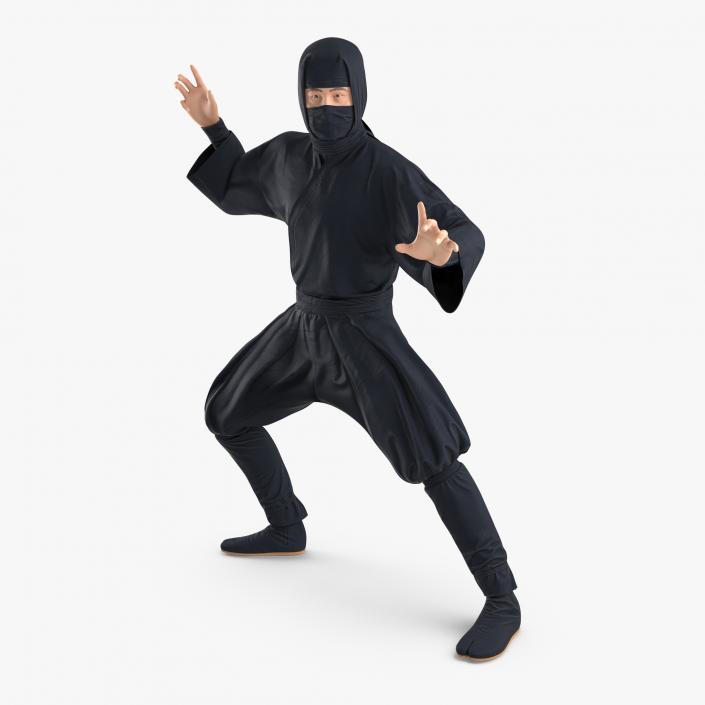 3D model Japan Ninja Fighting Pose