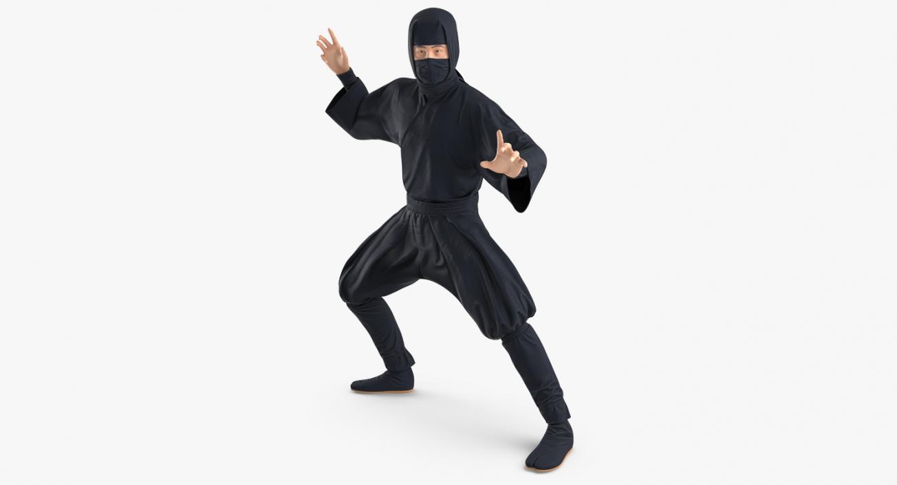 3D model Japan Ninja Fighting Pose