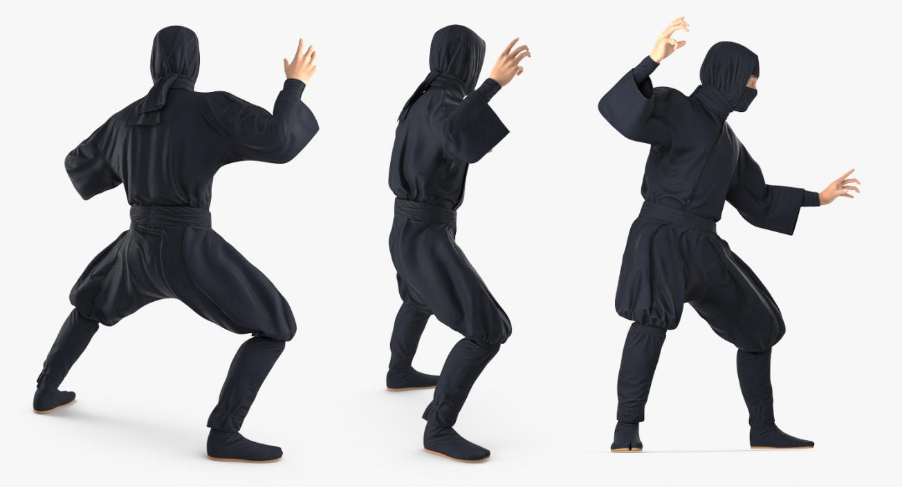 3D model Japan Ninja Fighting Pose