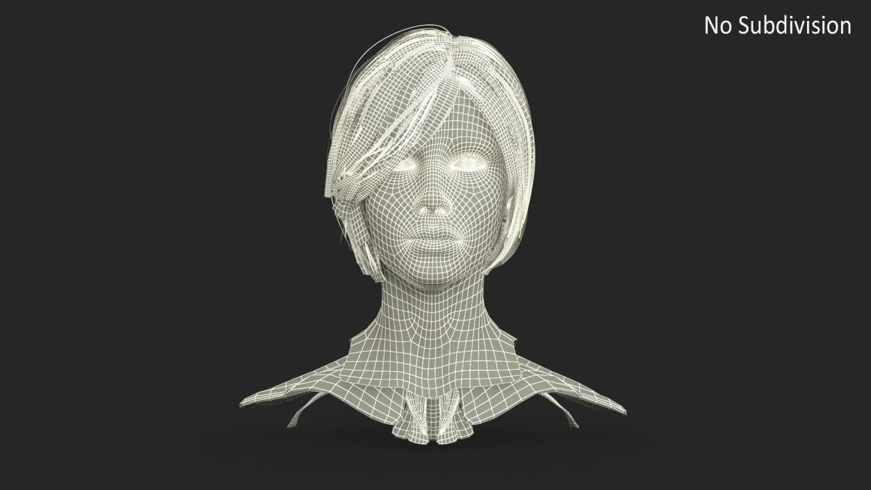 Female Head Realistic Anatomy 3D model