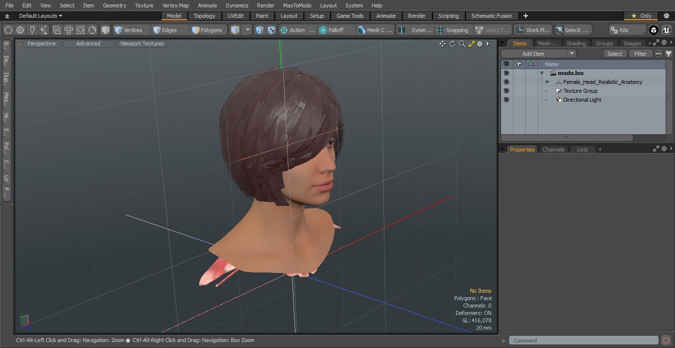 Female Head Realistic Anatomy 3D model