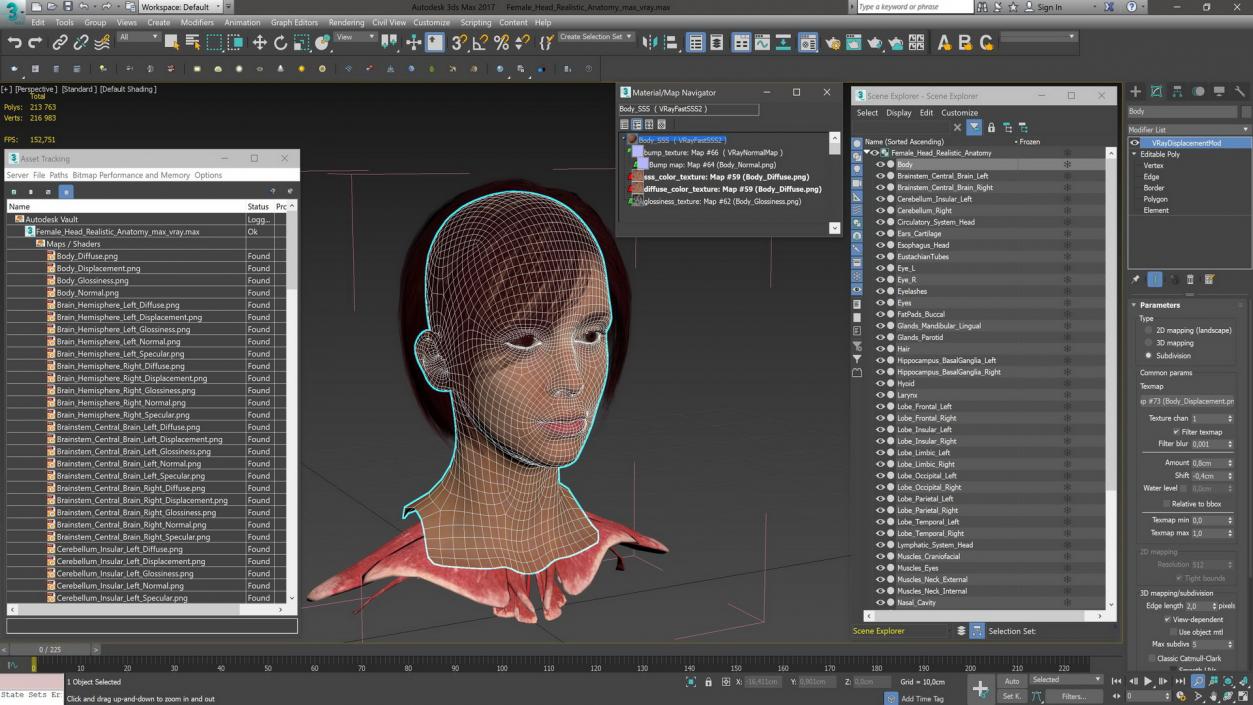 Female Head Realistic Anatomy 3D model